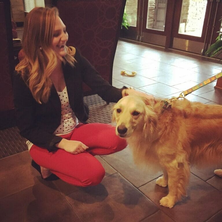 Pet Friendly Apartments Steve Brown Apartments