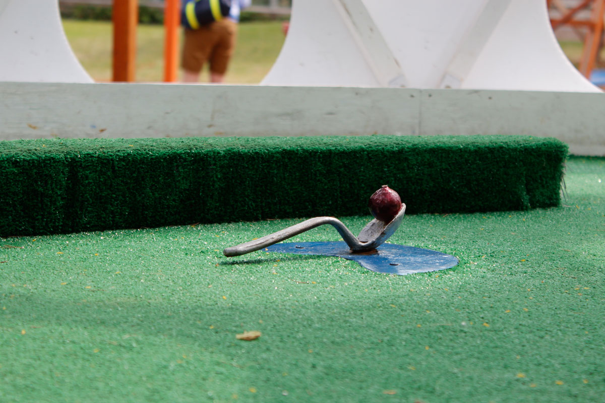 Mini Golf Spoonbridge