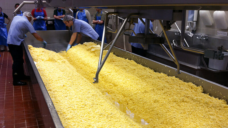 Equipment for Commercial Cheese Makers