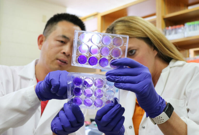 Nuemann Lab researchers analyzing samples