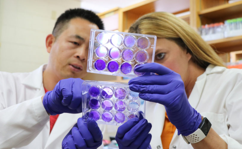 Nuemann Lab researchers analyzing samples