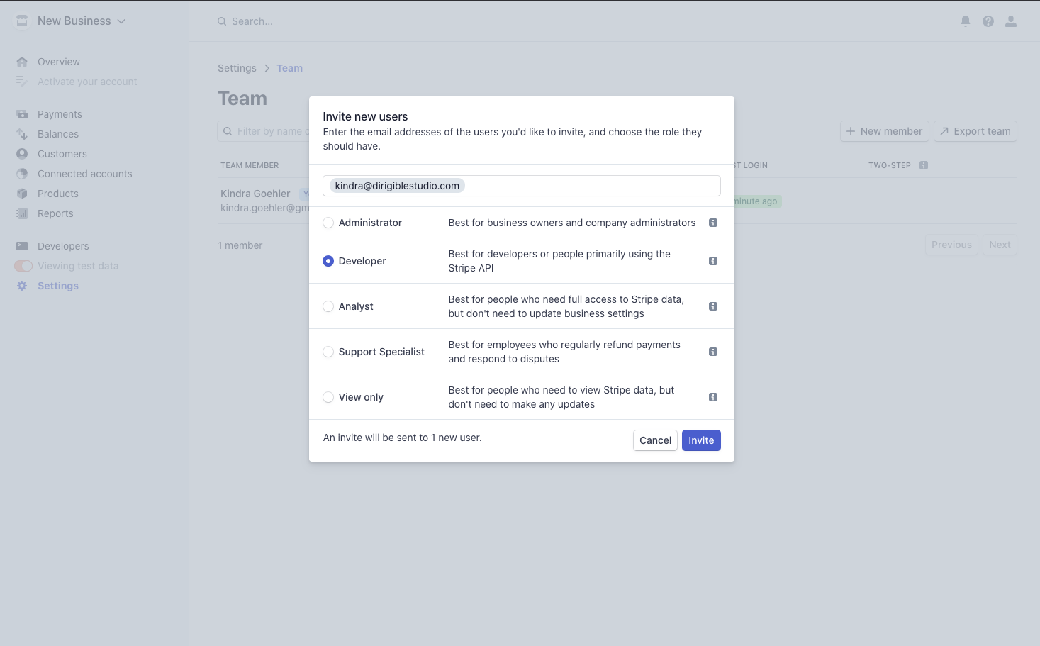 Stripe Team Members