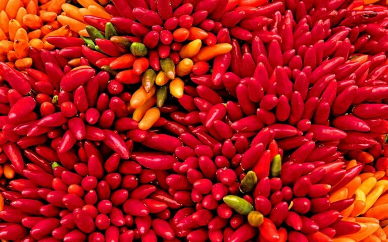 Bunches of peppers